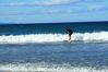 Dateiname=surfen043.jpg
Dateigröße=83KB
Abmessungen: 800x533
hinzugefügt am: 19. Februar 2010 surfen043.jpg